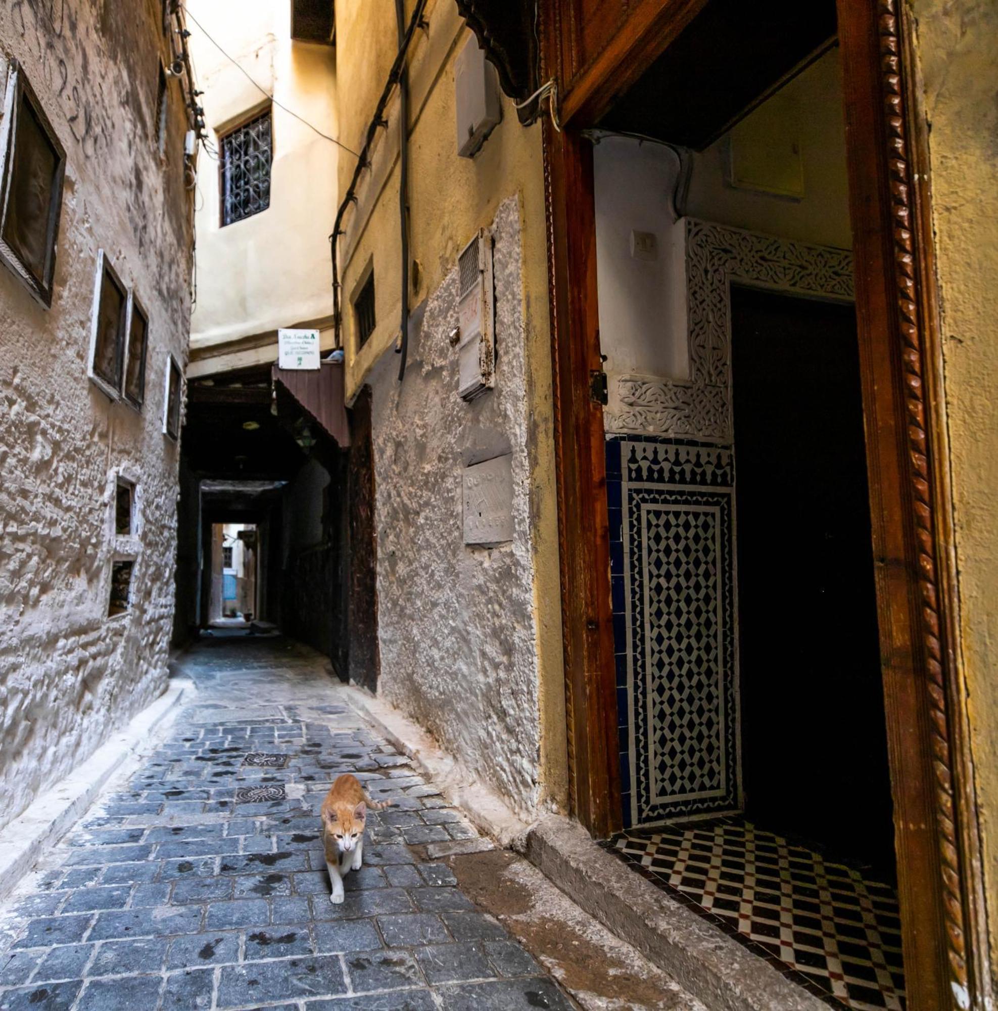 Riad Dar Omar Fez Exterior foto